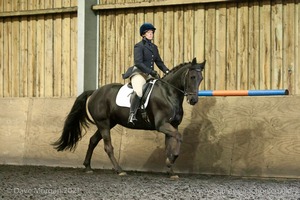 Isis Dressage Crown Farm Show 29th April 2012